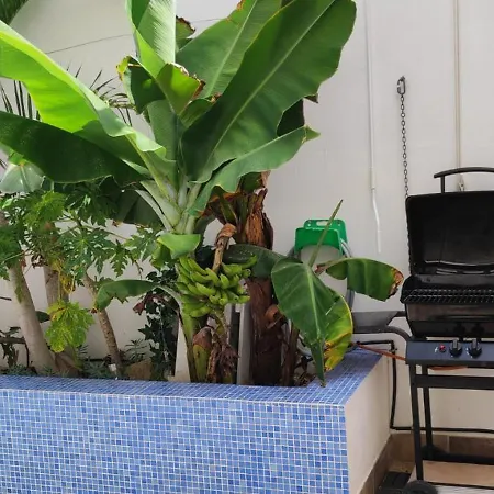 Casa El Olivo, Tenerife Σπίτι διακοπών Valle de San Lorenzo