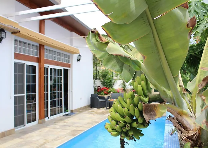 Holiday home Casa El Olivo, Tenerife