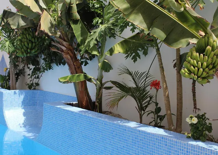 Casa El Olivo, Tenerife Holiday home Valle de San Lorenzo