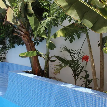 Casa El Olivo, Tenerife Semesterbostad Valle de San Lorenzo