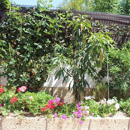 Casa El Olivo, Tenerife Valle de San Lorenzo