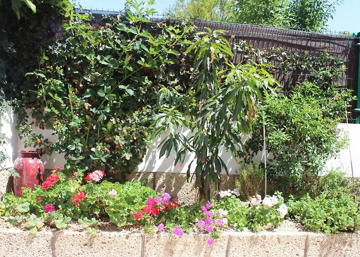 Casa El Olivo, Tenerife Valle de San Lorenzo