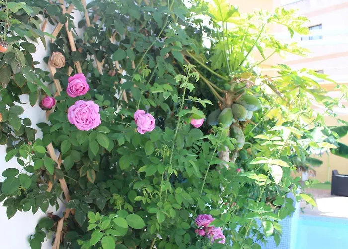 Casa El Olivo, Tenerife