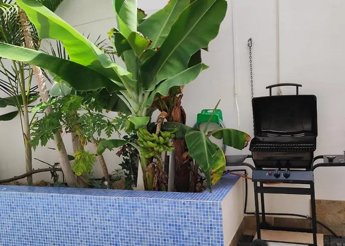 Casa El Olivo, Tenerife Ferienhaus Valle de San Lorenzo