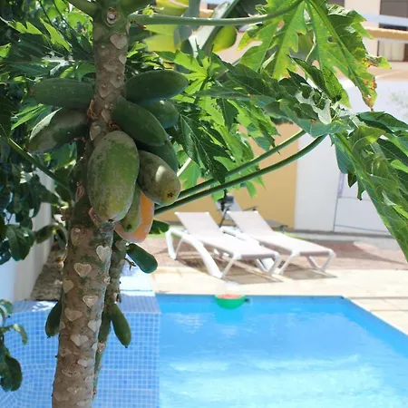 Дом отдыха Casa El Olivo, Tenerife Валье де Сан Лоренсо